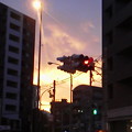 Photos: ♪  (・o・)  ＃横浜
