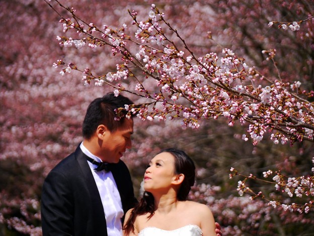 桜と記念写真