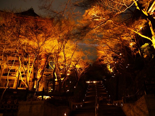 写真: 清水寺の夜景