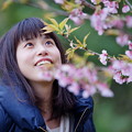 写真: 桜を見つめる