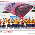 写真: 水戸藩YOSAKOI連_01 - かみす舞っちゃげ祭り2011
