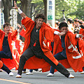 写真: 朝霞なるこ遊和会_彩夏祭2008_33