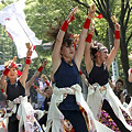 朝霞なるこ遊和会_10 -  「彩夏祭」 関八州よさこいフェスタ 2011