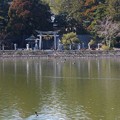 写真: 三島池 (12)