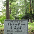 写真: オキワカのお墓
