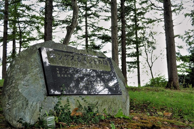 写真: キングスポイントのお墓