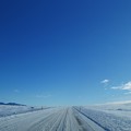 写真: 青空と雪道