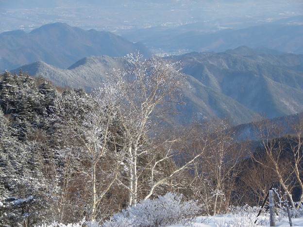 写真: 雪山からの眺望