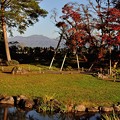 写真: 旧池田氏庭園 11