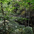 写真: 花巻温泉　釜淵の滝・紅葉橋 04