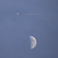 写真: お月さまと飛行機〜♪