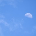 写真: お月さまは、雲のかけら〜♪