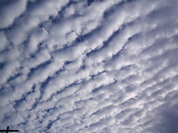 写真: 神の作りしの鱗雲