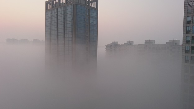 写真: レベル3の濃霧