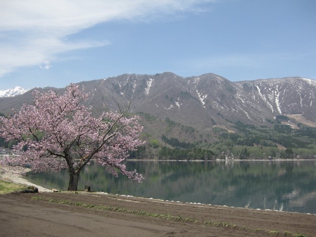 春の青木湖