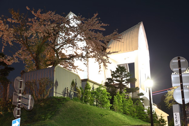 写真: 桜と教会