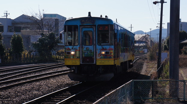 写真: 長良川鉄道 ﾅｶﾞﾗ500形 501