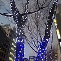 写真: 名古屋栄の街路樹に設置されたイルミネーション_02