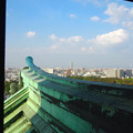 写真: 秋の名古屋城 - 19：天守閣最上階からの眺め