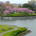 写真: 桜の時期、水の塔から見下ろした落合公園（2015/4/7）No - 39