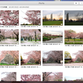 写真: OSX「写真」アプリ：複数枚表示（タイトルと編集済み表示）- 1