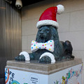 名古屋三越栄店のライオン像、今年（2015）もクリスマス仕様に！ - 2