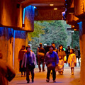 写真: 東山動植物園 星が丘門から植物園へと通じる通路 - 2