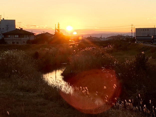 写真: 大山川沿いで見た沈む夕日 - 5