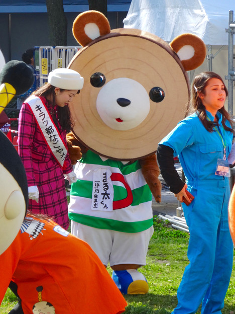 写真: 旅まつり 2016 No - 73：バームクーヘンに見えた、北海道の丸太と熊モチーフのゆるキャラ「まる太くん」