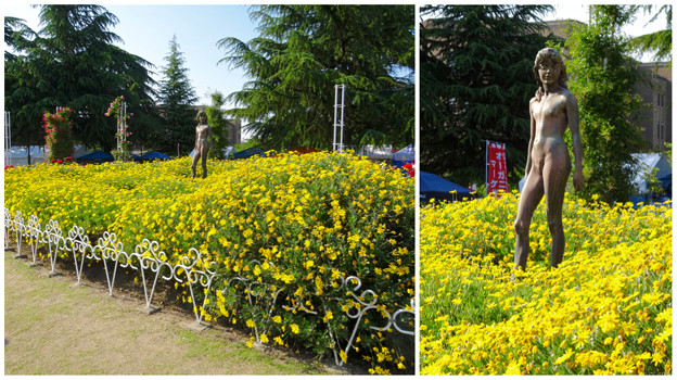 写真: 鶴舞公園：満開な黄色い花と裸像 - 4