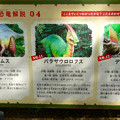 大高緑地に「ディノアドベンチャー名古屋」がプレオープン！ - 89：コース内に設置されてる恐竜解説 - 4