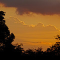 写真: 落合公園：遠くの方に見えた、夏らしい雲 - 1