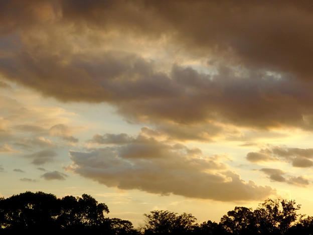 写真: 落合公園：夕日に染まる沢山の雲