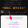 iOS 10：「文字が太くなる」設定が、日本語だけ反映されてない？ - 7（Echofon）
