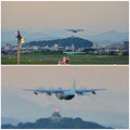 県営名古屋空港：滑走路から飛び立つ、自衛隊機 - 10