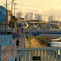 写真: 八田川沿いから見た名駅ビル群 - 14