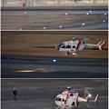 写真: 県営名古屋空港に着陸するヘリコプター - 10