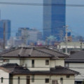 写真: 大池緑地公園から見た名古屋城天守閣