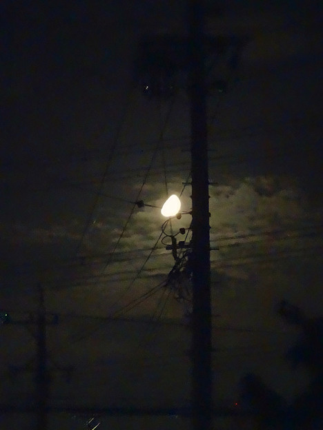 写真: 電柱越しに見えた半月 - 1