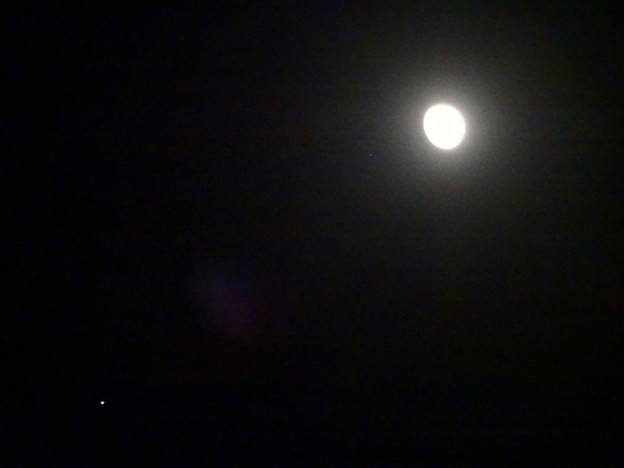 写真: 木星と並んで輝く月