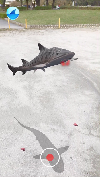 空中を泳ぐサメをペットとして飼える「shARk」 - 35