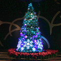 写真: ルーセントタワー内のクリスマス・イルミネーション 2017 No - 6：反射するクリスマスツリー