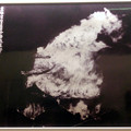 写真: 名古屋城の展示物 - 3：空襲で消失する天守閣の写真（1945年5月14日撮影）