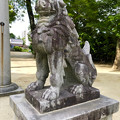 写真: 挙母神社 No - 57：ユーモラスな狛犬