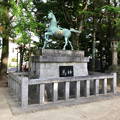 写真: 挙母神社 No - 59：アニメチックな顔をしてる馬の像