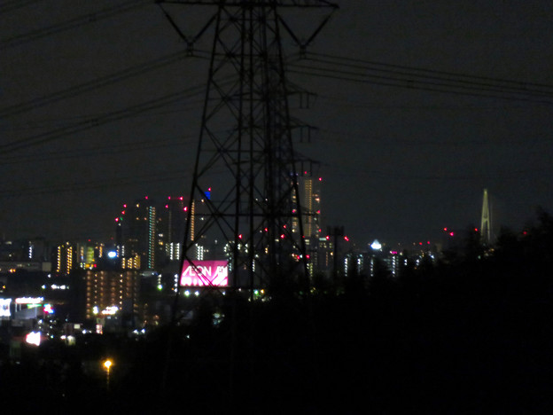 写真: 桃花台ニュータウン内から見た夜の名港中央大橋 - 1