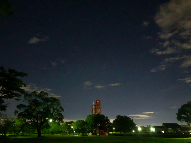 iPhone 8で撮影した夜の落合公園