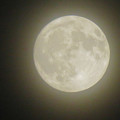 写真: 落合公園から見た薄曇りの中秋の満月（2018年9月24日） - 4