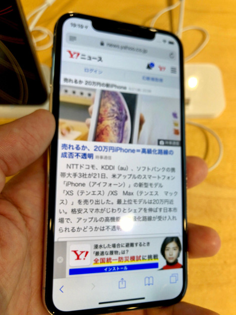 写真: iPhone XS No - 5：Safari（※ピンぼけ）