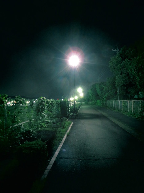 SX730 HS：トイカメラ風で撮影した夜の街灯 - 1（無編集）